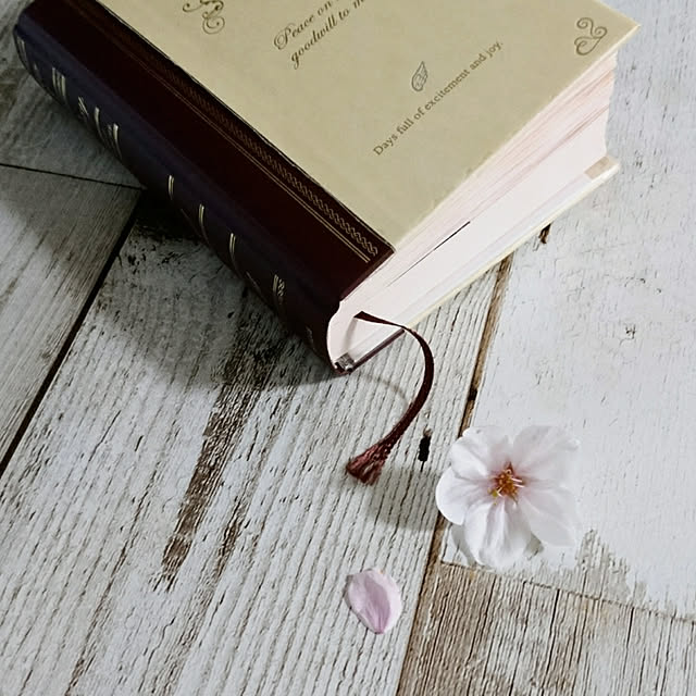 ミドリ カギ付日記 天使柄 日記 鍵付き 日記帳 ドラマで話題 定形外郵便発送のレビュー クチコミとして参考になる投稿10枚 Roomclip ルームクリップ ミドリ カギ付日記 天使柄 日記 鍵付き 日記帳 ドラマで話題 定形外郵便発送のレビュー クチコミとして参考になる投稿10枚 Roomclip ルームクリップ