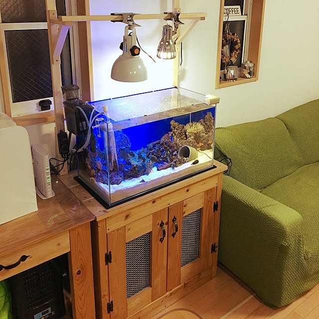 写真付きレビュー】(海水魚)Sグレードライブロック Sサイズ(1kg)(形状お任せ)の通販商品口コミ情報 | RoomClipショッピング 写真付きレビュー】(海水魚)Sグレードライブロック Sサイズ(1kg)(形状お任せ)の通販商品口コミ情報 | RoomClipショッピング