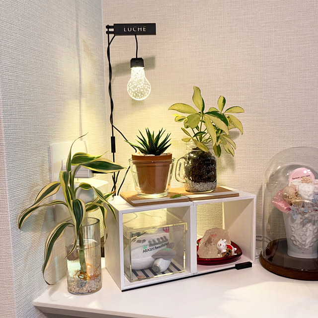 写真付きレビュー 植物育成ledライト Luche ルーチェ 育成灯 日照不足に キッチン インテリアライト 室内園芸 栽培ライト おしゃれ の通販商品 口コミ情報 Roomclipショッピング