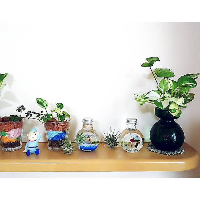 Bulb Vase フラワーベース 花瓶 一輪挿し バルブベース おしゃれ インテリア 球根 のレビュー クチコミとして参考になる投稿3枚 Roomclip Item