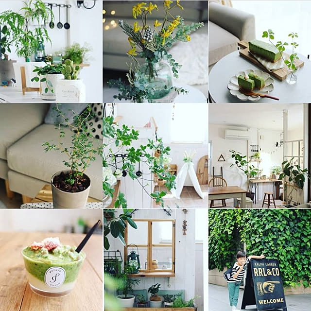 ベッド周り/NO GREEN NO LIFE/観葉植物/サボテン/シェフレラ...などのインテリア実例 - 2019-08-20 13:10:04
