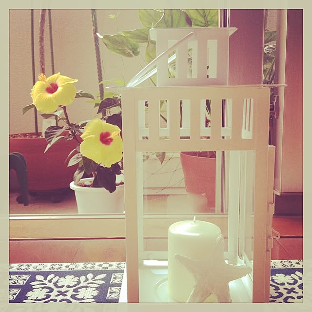 cocotaroの家具・インテリア写真