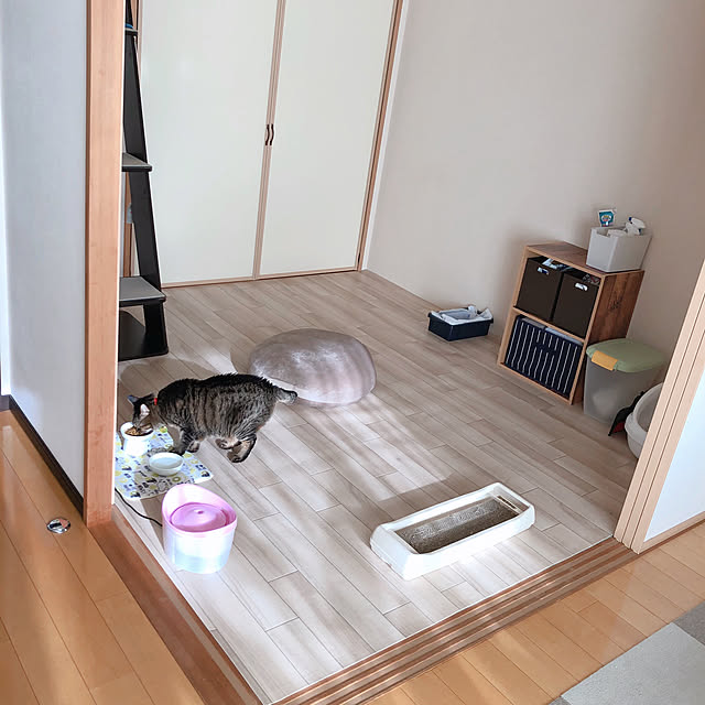 コンポジット Ottostyle Jp キャットツリー キャットシェルフ インテリア調 猫タワー おしゃれ 運動 棚 立てかけ 据え置き 本体 ナチュラル のレビュー 口コミとして参考になる投稿10枚 Roomclipショッピング