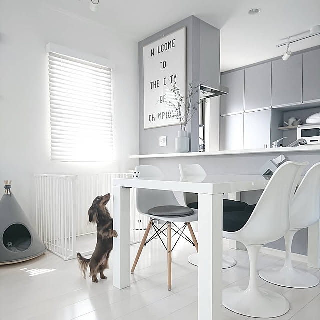 スカンジナビアンペットケージxl 6枚セットスチール製 Scandinavian Pet Design小型 中型犬用サークル ペットケージ ペットサークル 北欧 ドッグサークル ドッグケージ おしゃれ 犬 ケージ 犬 サークルのレビュー クチコミとして参考になる投稿33枚 Roomclip ルーム スカンジナビアンペットケージxl 6枚セットスチール製 Scandinavian Pet Design小型 中型犬用サークル ペットケージ ペットサークル 北欧 ドッグサークル ドッグケージ おしゃれ 犬 ケージ 犬 サークルのレビュー クチコミとして参考になる投稿33枚 Roomclip ルーム