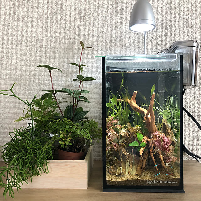 写真付きレビュー】寿工芸 クリスタルキューブ 150HH/Bの通販商品口コミ情報 | RoomClipショッピング 写真付きレビュー】寿工芸 クリスタルキューブ 150HH/Bの通販商品口コミ情報 | RoomClipショッピング