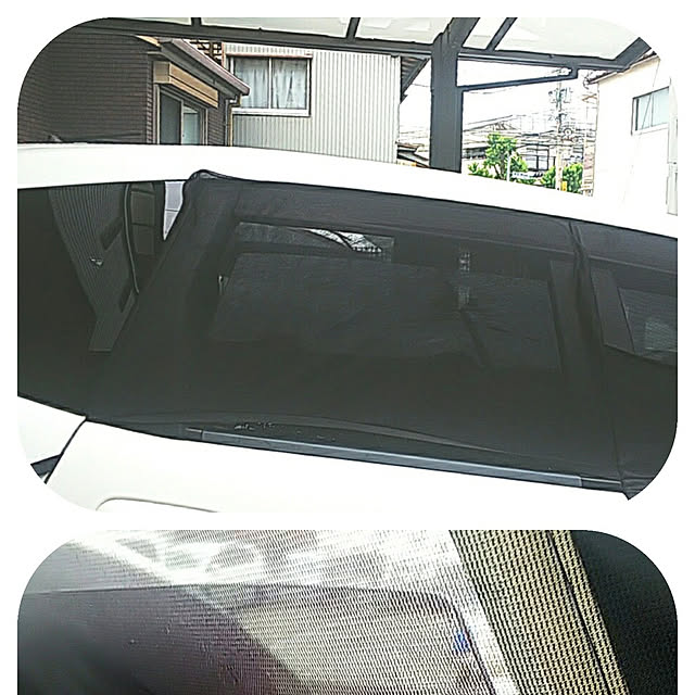 超歓迎された メルテック 車用 ウィンドウネット フロントドア用 W1200×H800mm 1枚入 Meltec WP-30 超歓迎された メルテック 車用 ウィンドウネット フロントドア用 W1200×H800mm 1枚入 Meltec WP-30