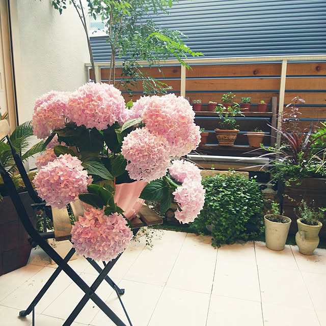 園芸用 プランター 人気 ガーデニング おしゃれ 花 野菜 栽培 菜園 土