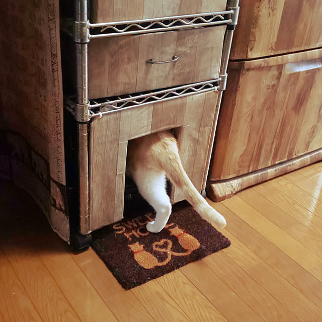 花王 Amazon限定ブランド スマイリーbox 猫用トイレ本体 ニャンとも清潔トイレセット 約1か月分チップ シート付 ドームタイプ カフェブラウン チャコール 猫ちゃん想い設計 猫砂のレビュー 口コミとして参考になる投稿85枚