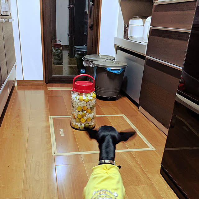 Ikea Knodd イケア ふた付き容器 グレー 40l 503 153 14 ブリキ ゴミ箱のレビュー クチコミとして参考になる投稿17枚 Roomclip ルームクリップ