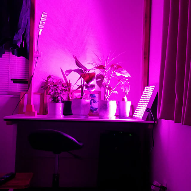 植物育成 Led 植物育成ライト 45w Led植物育成 225led 植物育成パネル 水耕栽培ランプ Ledパネル 室内 植物 照明 Led ライトのレビュー クチコミとして参考になる投稿3枚