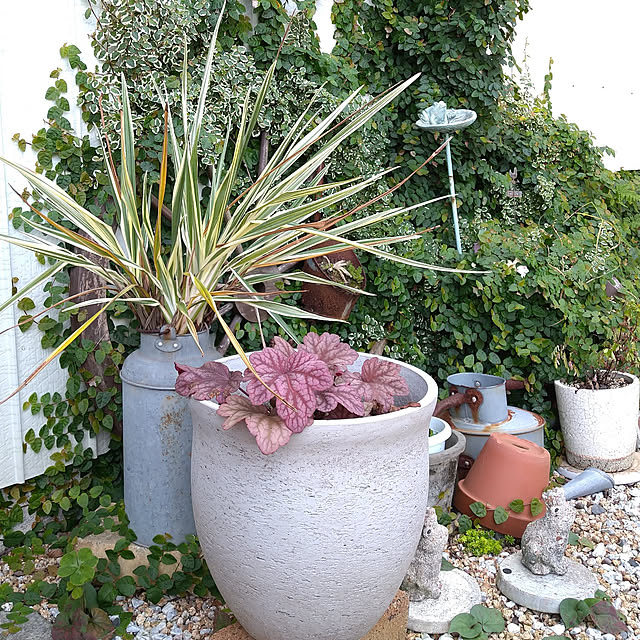 ノルマンディーミルクポット Sp Huy812 ミルク缶 ブリキ 置物 飾り オブジェ オーナメント ガーデニング雑貨 ガーデン雑貨 インテリア雑貨 ナチュラル アンティーク かわいい おしゃれ ポイント消化 Milkのレビュー クチコミとして参考になる投稿13枚