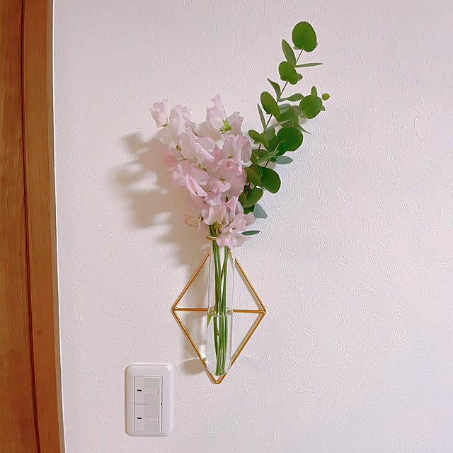 ユーカリ スイートピー 切り花 壁かけの花瓶 一輪挿し などのインテリア実例 21 12 30 18 58 23 Roomclip ルームクリップ ユーカリ スイートピー 切り花 壁かけの花瓶 一輪挿し などのインテリア実例 21 12 30 18 58 23 Roomclip ルームクリップ