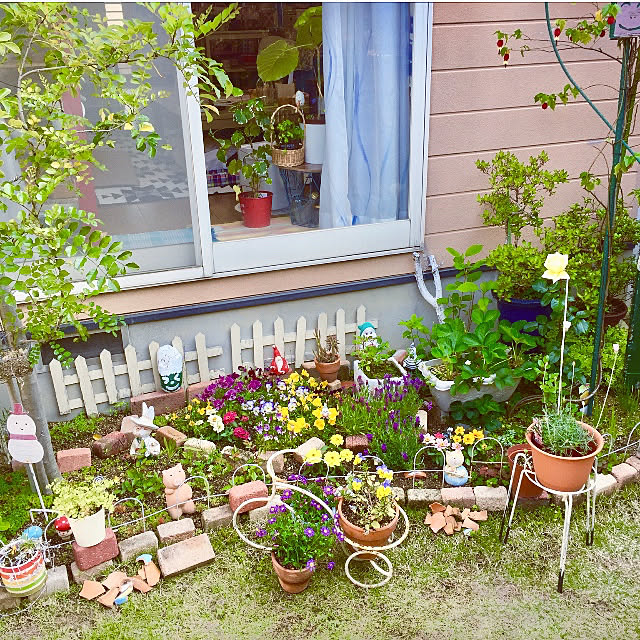 写真付きレビュー 母の日 22 癒し 花 プレゼント ラベンダー鉢植え と ラベンダーサシェ 4種類のティーバック セット 紅茶 ウェッジウッド ワイルドストロベリーの通販商品 口コミ情報 Roomclipショッピング