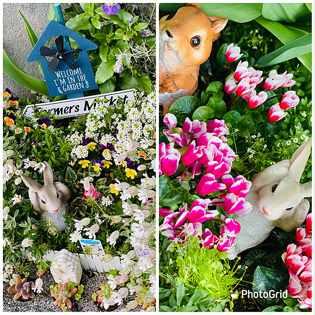 ダイソー 花壇柵のまとめページ Roomclip ルームクリップ