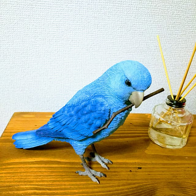 写真付きレビュー エントリーでp10倍 バーディビル Birdie Bill Parakeet コザクラインコ Rosy Faced Love Bird マメルリハ Pacific Parrotiletは完売です 小鳥 インコ クリップホルダー オブジェ リアル メッセージバード バーディービル バードビル Magnetの 写真付きレビュー エントリーでp10倍 バーディビル Birdie Bill Parakeet コザクラインコ Rosy Faced Love Bird マメルリハ Pacific Parrotiletは完売です 小鳥 インコ クリップホルダー オブジェ リアル メッセージバード バーディービル バードビル Magnetの