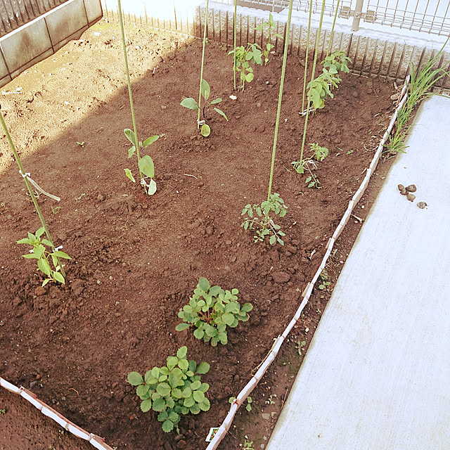 写真付きレビュー 花壇の仕切り レンガ石調ガーデンフェンス10枚組 ガーデニングの通販商品 口コミ情報 Roomclipショッピング