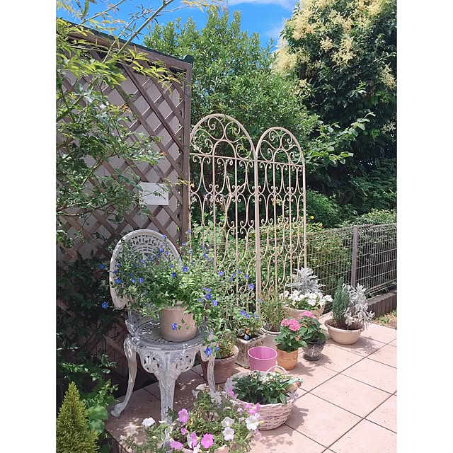 写真付きレビュー アイアントレリス Hb1004 2毎 10 トレリス 雑貨 フェンス アイアン バラ ホワイト ばら ガーデンフェンス ガーデン 目隠し ブラック 白 黒 エクステリア ガーデニング用品 おしゃれ 目隠しフェンス アイアンフェンス ガーデン雑貨 の通販商品