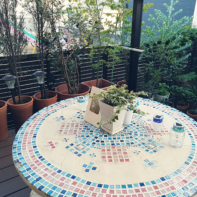 コニファー スカイロケット エメラルドグリーン エメラルド 15cmポット 高さ1 0m 直立性 苗木 植木 庭木 コニファーガーデン 生垣 目隠し 針葉樹 常緑樹 高木のレビュー クチコミとして参考になる投稿1枚 Roomclip ルームクリップ