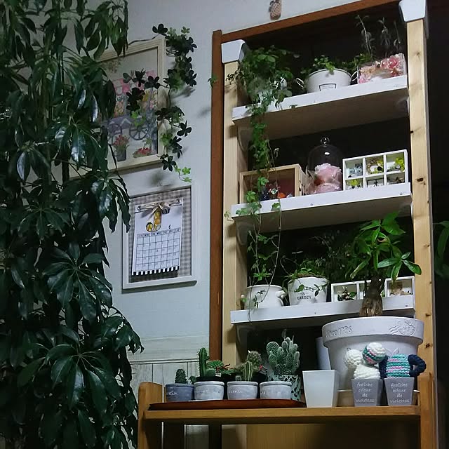 サボテン 2号鉢 アソート 1個 鉢植え インテリア 観葉植物 さぼてん 引越し祝い 父の日 母の日 バレンタインデー ホワイトデー プレゼント ギフト 空気清浄効果 風水効果 運気 トラブル防止 金運 仕事運 恋愛運 健康運のレビュー クチコミとして参考になる投稿3枚 サボテン 2号鉢 アソート 1個 鉢植え インテリア 観葉植物 さぼてん 引越し祝い 父の日 母の日 バレンタインデー ホワイトデー プレゼント ギフト 空気清浄効果 風水効果 運気 トラブル防止 金運 仕事運 恋愛運 健康運のレビュー クチコミとして参考になる投稿3枚