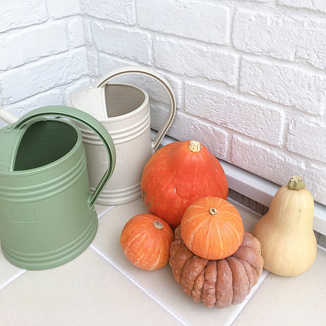 じょうろ ジョーロ おしゃれ かわいい アンティーク 北欧 ジョウロ ブリティッシュウォーターポット Btw 36 3 6lピッチャー ジョーロ 水やり 散水 水撒き 水まき アイリスオーヤマのレビュー クチコミとして参考になる投稿31枚