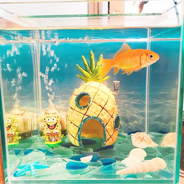 写真付きレビュー Spongebob Squarepants スポンジボブ アクアリウム オーナメント 並行輸入品 の通販商品 口コミ情報 Roomclipショッピング 写真付きレビュー Spongebob Squarepants スポンジボブ アクアリウム オーナメント 並行輸入品 の通販商品 口コミ情報 Roomclipショッピング
