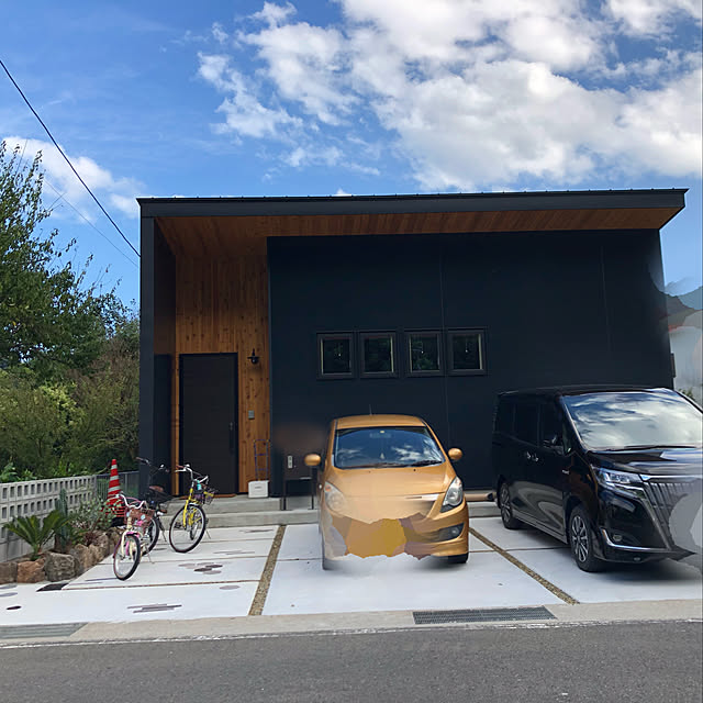 観葉植物 柱サボテン トゲナシ 8号 激安 オシャレな大型観葉植物 お部屋のインテリア装飾 引っ越し 新生活新築祝い開店祝い 贈り物に格安人気観葉植物をどうぞ 最安値 贈答 父の日 新生活応援 プレゼント のレビュー クチコミとして参考になる投稿2枚