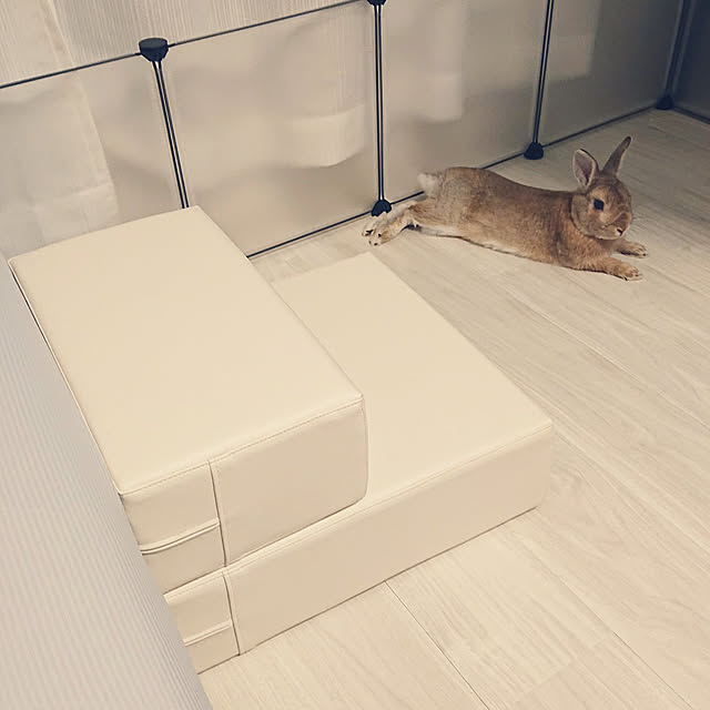 抗菌機能付き ドッグステップ Chito 日本製 犬 階段 ステップ スロープ マット Mサイズ Lサイズ クッション カドラー ベッド 猫 ヘルニア ベッド 踏み台 ソファー 犬用階段 介護用品 ペット用品 犬用品 誕生日 Pvcレザー ドックステップ 送料無料 のレビュー