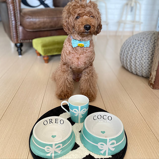 ティファニー 食器 結婚祝い プレゼント ペア マグカップ グラス 2点セット ブルーリボン ボックス ペアカップ 刻印 名入れ 内祝い お返し 結婚 ギフト 贈り物のレビュー クチコミとして参考になる投稿10枚 Roomclip ルームクリップ