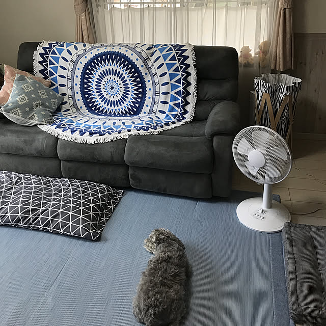 ニトリ 接触冷感ラグ Nクールh Bl 0x240 玄関先迄納品 のレビュー 口コミとして参考になる投稿10枚