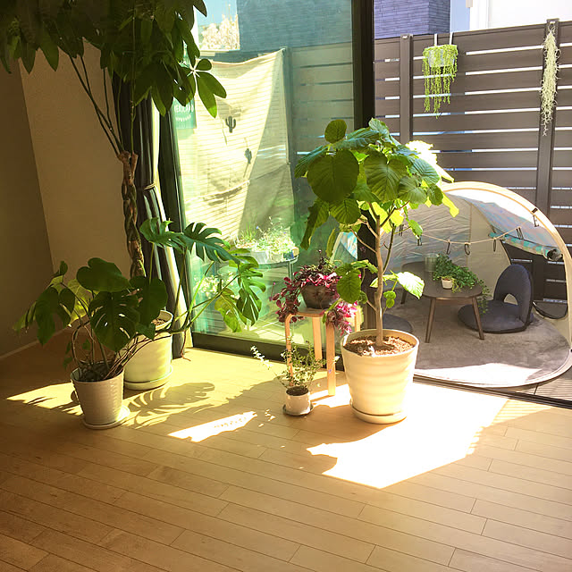 写真付きレビュー ニトリ ワンタッチサンシェルター フルーツ Ish 玄関先迄納品 1年保証 合計金額円以上送料無料対象商品 の通販商品 口コミ情報 Roomclipショッピング