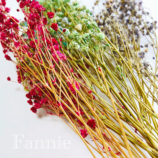 かすみ草 ドライフラワー 着色かすみ草 レジン ハンドメイド 自然乾燥 ブーケ 花材 材料 のレビュー クチコミとして参考になる投稿1枚 Roomclip ルームクリップ