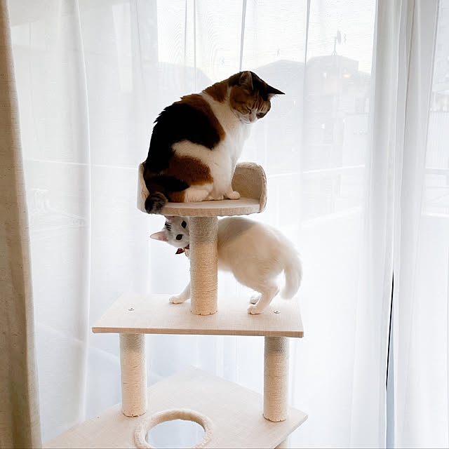 P5倍 25日0時 キャットタワー 据え置き 省スペース 猫 おもちゃ キャットタワー コンパクト 子猫 Ccct 4355sベージュ グレー 猫タワー キャット タワー おしゃれ 可愛い かわいい 置き型 シンプル 爪とぎ ペット用品 ファブリック ペット D のレビュー クチコミ