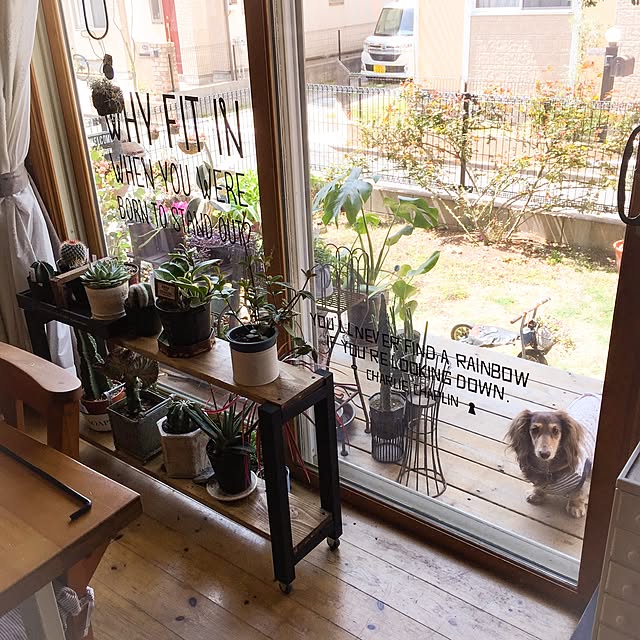 アイリスオーヤマ 培養土 ゴールデン粒状培養土 観葉植物用 14lのレビュー クチコミとして参考になる投稿24枚 Roomclip Item