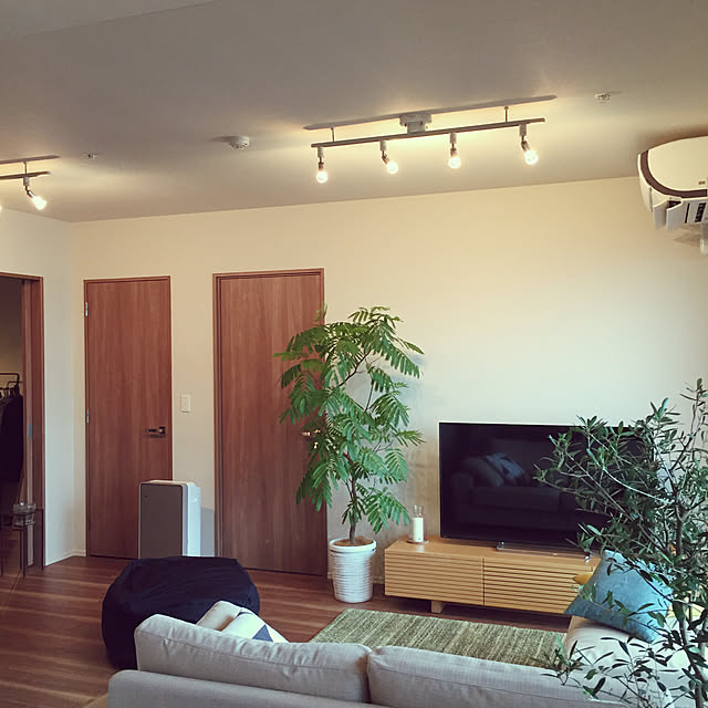 スポットライト Led電球 Spots ホワイト スタジオ ライティングレール おしゃれ 人気 売れ筋 キッチン 照明 配線ダクトのレビュー クチコミとして参考になる投稿11枚 Roomclipショッピング