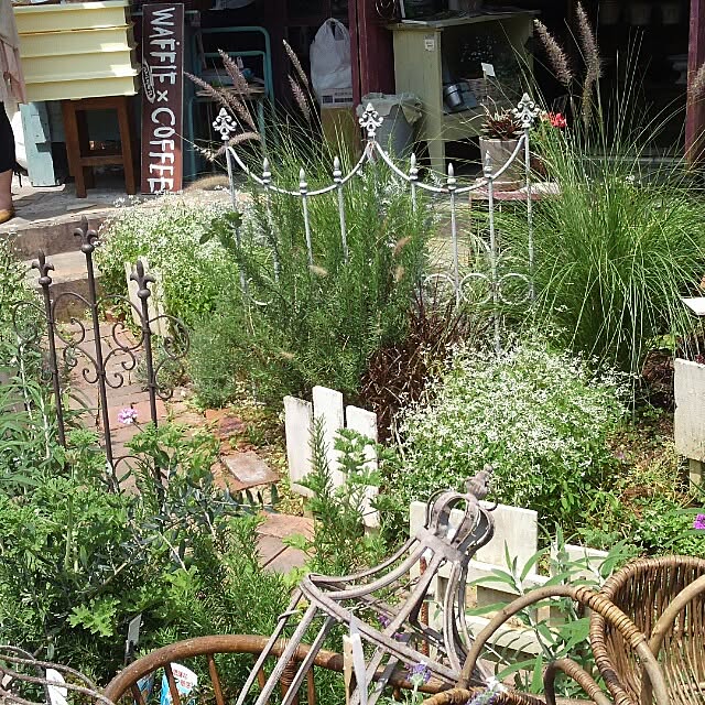 玄関/入り口/べらんだGarden。/オープンガーデン/tanikzuki/blogやってます。...などのインテリア実例 - 2014-04-29 20:38:23