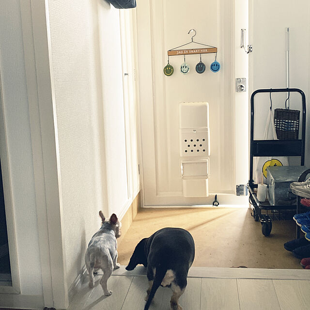 Ikea ドッグテールフック犬のしっぽ型フック リード キャリーバック掛けに 取り付けかんたん イケアのレビュー クチコミとして参考になる投稿33枚 Roomclip Item