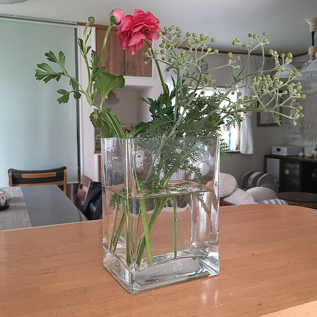 写真付きレビュー Ikea イケア Rektangel 花瓶 クリアガラスの通販商品 口コミ情報 Roomclipショッピング
