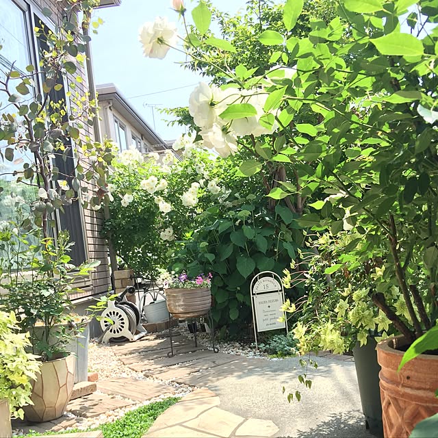 オリジナル カスタムモデル 三洋化成 ロゼットリール ホースリール ホワイト 白 おしゃれ 高品質 散水 水まき 水やり 洗車 ホースリール m 散水ホース 庭 新築祝い のし対応 送料無料 Rr4stw 沖縄 離島配送不可 21春のレビュー クチコミとして参考になる