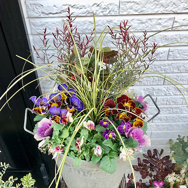 写真付きレビュー 寄せ植えギャザリング メソッド 土を使わない新しい園芸テクニックを完全マスター 青木 英郎 の通販商品 口コミ情報 Roomclipショッピング