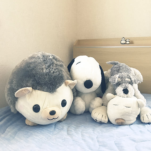 はりねずみのハリン Big ハリネズミのぬいぐるみ アミューズキャラコレスペシャルのレビュー クチコミとして参考になる投稿1枚 Roomclipショッピング