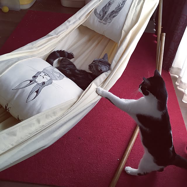 あす楽 送料無料 3way ハンモック Sff 04 Wd 自立式ハンモック 自立式 チェア 椅子 イス いす ハンガーラック 新生活 屋内 家具 屋外 おしゃれ ラック 北欧 インテリア 家具 雑貨 ラック グランピング キャンプ Sifflus シフラス アウトドア 収納 引越し 一人暮らしの