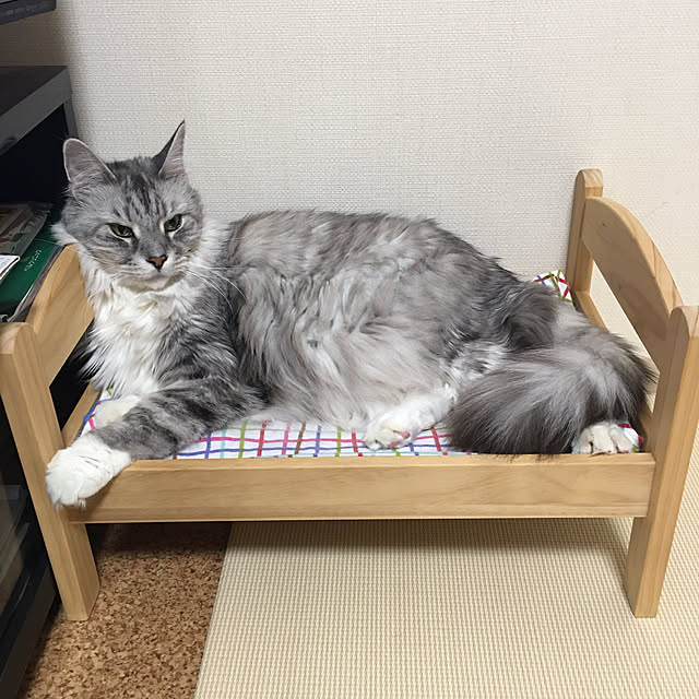 Ikea Duktig イケア 人形用ベッド ベッドリネンセット付き パイン材 マルチカラー 1 678 38 メール便不可 のレビュー クチコミとして参考になる投稿2枚 Roomclip ルームクリップ