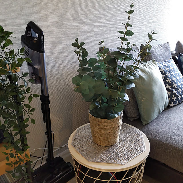 写真付きレビュー ｉｋｅａ イケア Fejka フェイカ 人工観葉植物65 Cm ユーカリの通販商品 口コミ情報 Roomclipショッピング