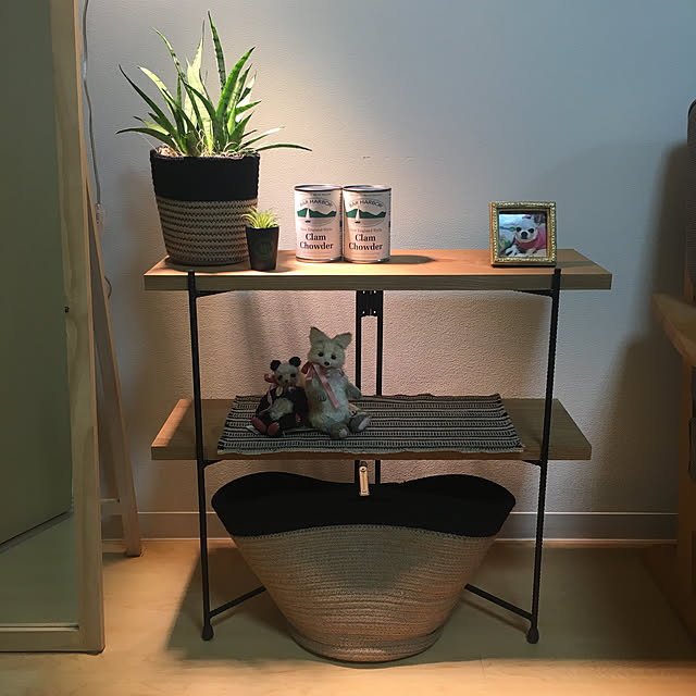 Barrel 植物育成led Plantlight18w 白色クリップタイプ Sun 18w プラントクリップa 観葉植物 植物栽培ライトのレビュー 口コミとして参考になる投稿7枚 Roomclip ルームクリップ