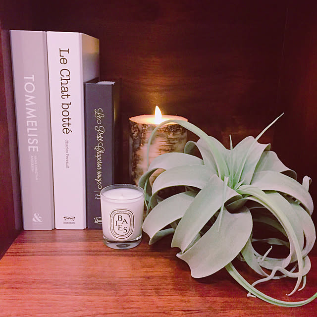 Diptyque ディプティックミニ キャンドル ベ70gのレビュー クチコミとして参考になる投稿12枚 Roomclip ルームクリップ