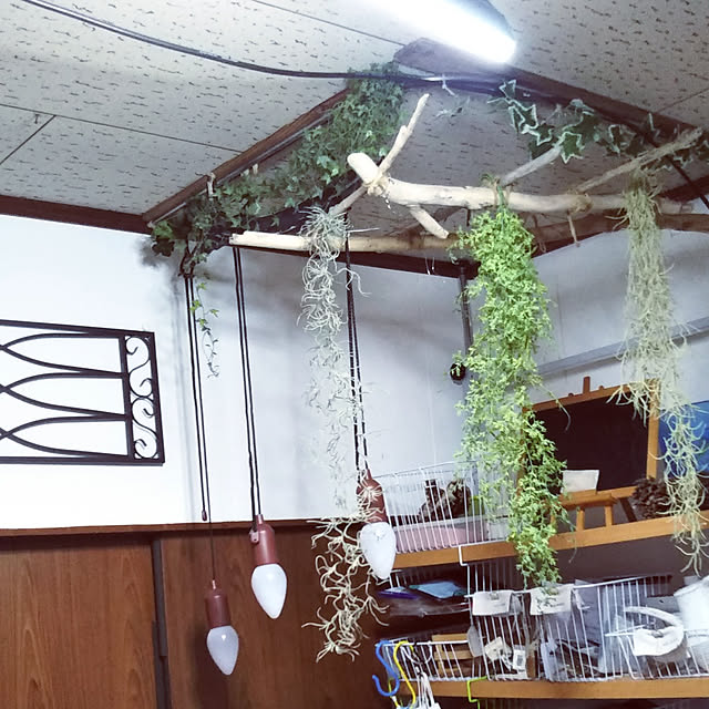Ledライト シーリングファン レール用プラグの特典 Uzukaze Mini ファン付き 小型 扇風機 ウズカゼ ミニ うずかぜ 調光 Led電球 引っ掛け 電球色 昼光色 トイレ 脱衣所 サーキュレーター シーリングファンライト 引っ掛け Fce 222 Fce 223 木目 おしゃれ インテリアの