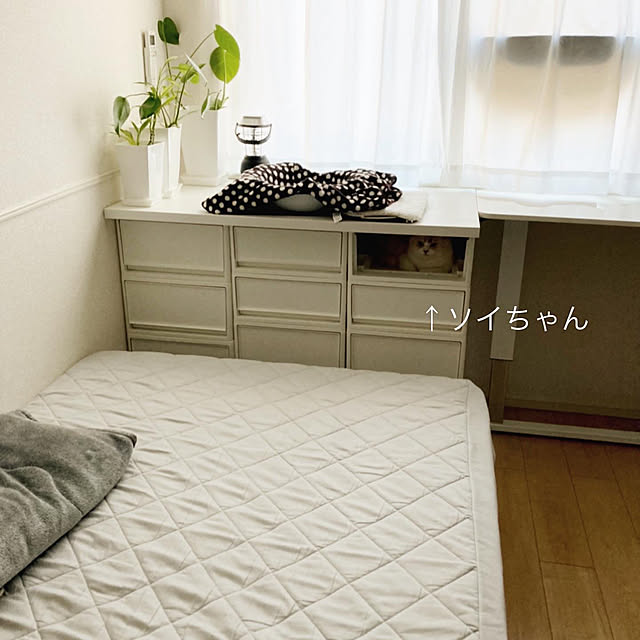 フランスベッド マットレスのみ セミダブル Francebed 日本製 硬め 腰痛 2年保障 Xa 241 マルチラススーパースプリングマットレス 高密度連続スプリングのレビュー クチコミとして参考になる投稿24枚