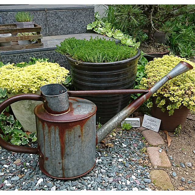 写真付きレビュー】『 DULTON ダルトン ティンウォータリングカン 4L TIN WATERING CAN 4L CH13-G483 』じょうろ ジョウロ ジョーロ 如雨露 ブリキ 水やり 赤 レッド 緑 グリーン 園芸 ガーデニング ガーデン 庭 アンティーク調 ヴィンテージ風 アメリカン レトロ ... 写真付きレビュー】『 DULTON ダルトン ティンウォータリングカン 4L TIN WATERING CAN 4L CH13-G483 』じょうろ ジョウロ ジョーロ 如雨露 ブリキ 水やり 赤 レッド 緑 グリーン 園芸 ガーデニング ガーデン 庭 アンティーク調 ヴィンテージ風 アメリカン レトロ ...