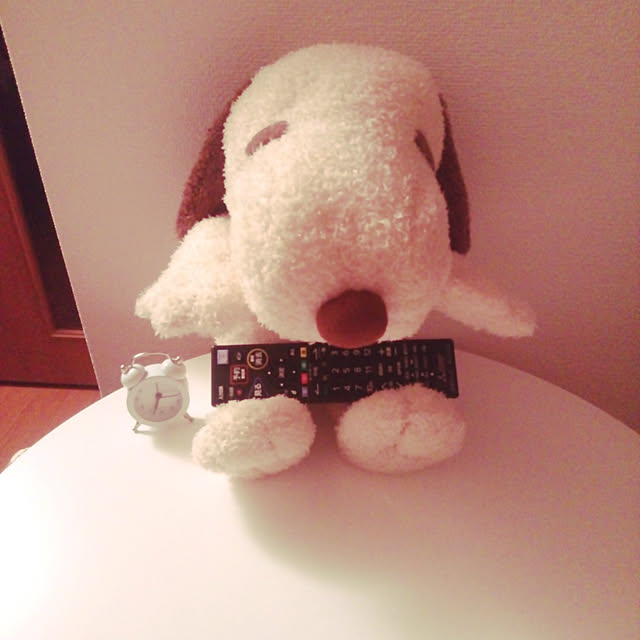 送料無料 スヌーピー グッズ Hughug ハグハグ Snoopy モカ ぬいぐるみ Lサイズのレビュー クチコミとして参考になる投稿10枚 Roomclip ルームクリップ