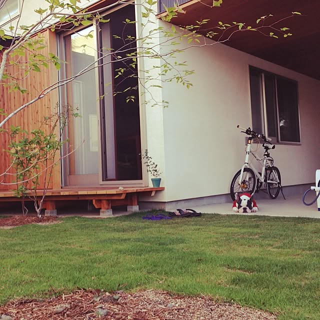 庭 芝生 フレンチブルドッグ 扇建築工房 植物 などのインテリア実例 14 05 02 18 57 Roomclip ルームクリップ